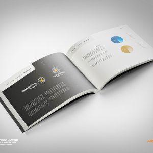 طراحی هویت بصری (پکیج هوشمند)