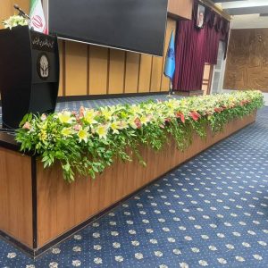 گل آرایی سن